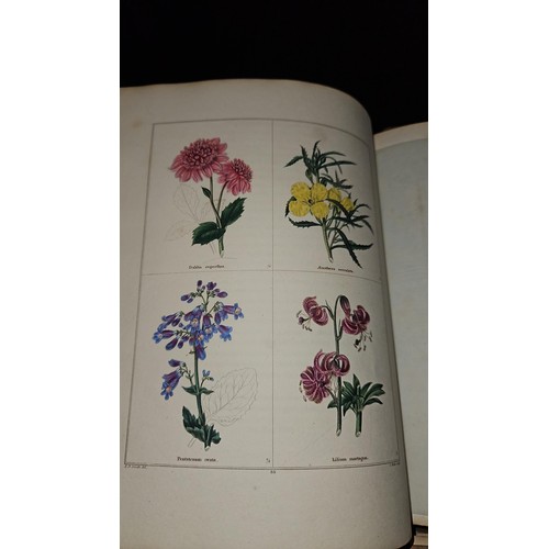 435 - The Botanic Garden by Maund, B. (Benjamin), 1790-1863. Vols 1-6, generally poor cover condition... 