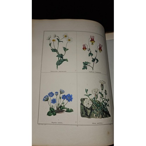 435 - The Botanic Garden by Maund, B. (Benjamin), 1790-1863. Vols 1-6, generally poor cover condition... 