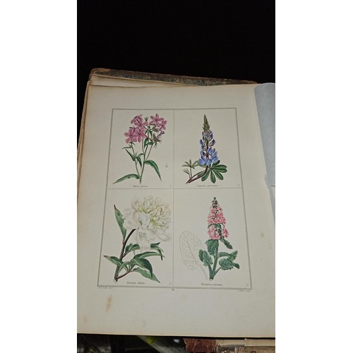 435 - The Botanic Garden by Maund, B. (Benjamin), 1790-1863. Vols 1-6, generally poor cover condition... 