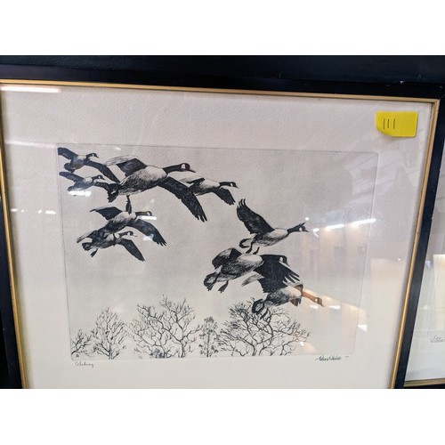 111 - Three framed prints of ducks along the Mississippi.