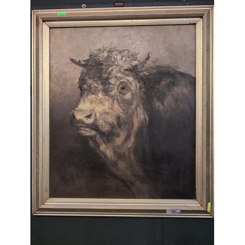 22 - Oil on canvas of a bullock. 52cm by 60cm