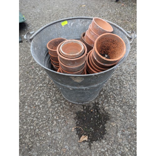 107 - Galvanized bucket with quantity of small terracotta pots