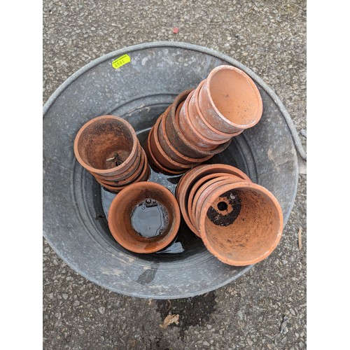 107 - Galvanized bucket with quantity of small terracotta pots