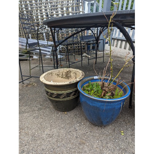 81 - Two glazed planters inc. rose bush