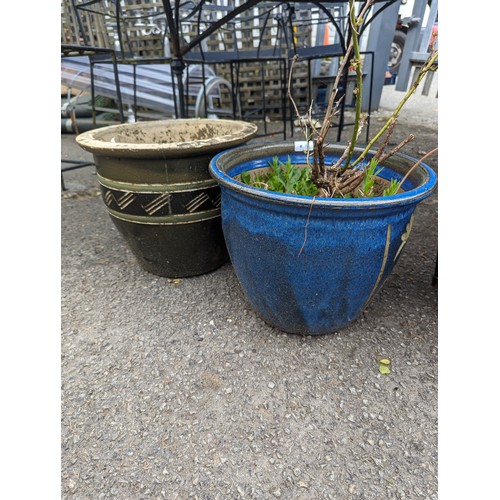 81 - Two glazed planters inc. rose bush