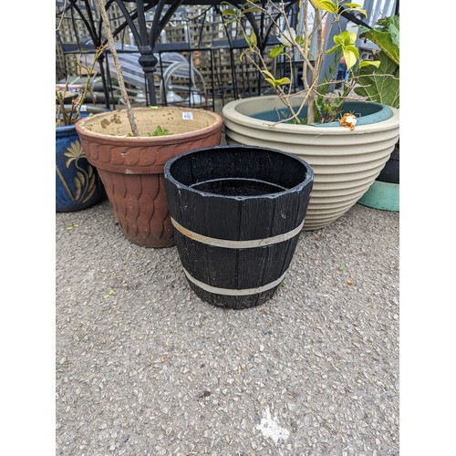 80 - Rose plant in ceramic glazed pot, camelia plant in plastic pot and one other plastic barrel planter