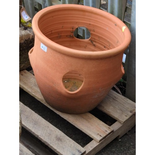 12 - Terracotta strawberry planter dia. 39 x ht.35cm