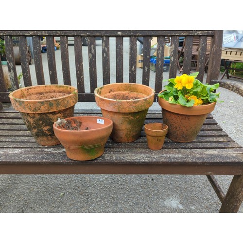 57 - Five various terracotta pots, one with pansy contents