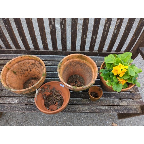 57 - Five various terracotta pots, one with pansy contents