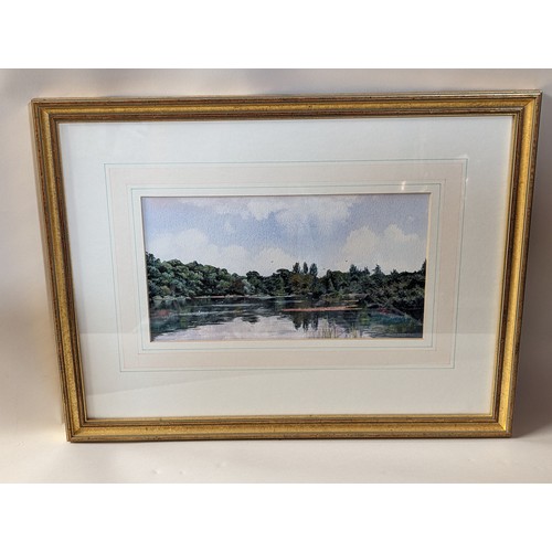 128 - A. Boswell, watercolour painting of a pond in a woodland setting, signed lower right, framed 45.5 x ... 