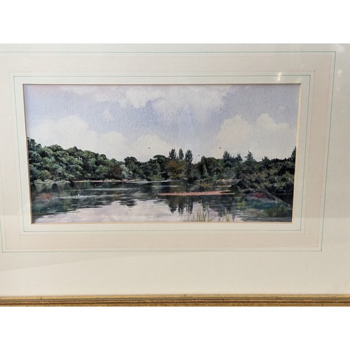 128 - A. Boswell, watercolour painting of a pond in a woodland setting, signed lower right, framed 45.5 x ... 