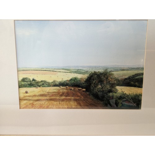 138 - Ken Siebert (C20th) 'Cornfields in Devon' pastel drawing, signed lower right, framed 53.5 x 43.5cm