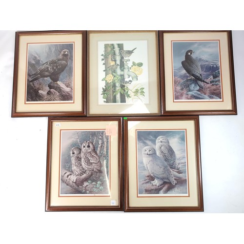 141 - Four signed limited edition bird of prey prey prints by Raymond Weston, with certificates, together ... 