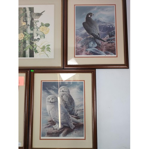 141 - Four signed limited edition bird of prey prey prints by Raymond Weston, with certificates, together ... 