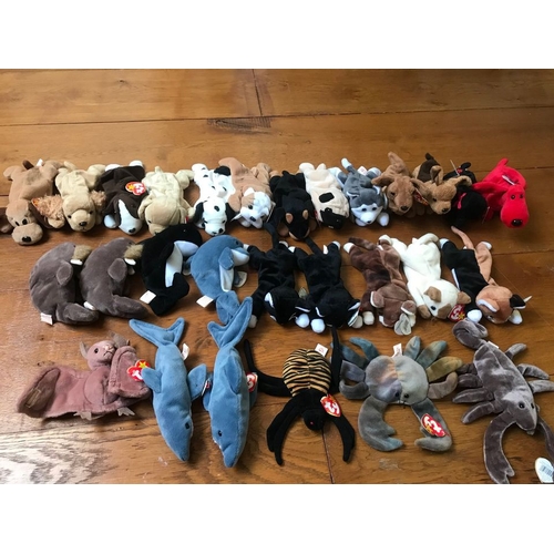 588 - Bag of 51 x Beanie Babies. Please see photos for full list