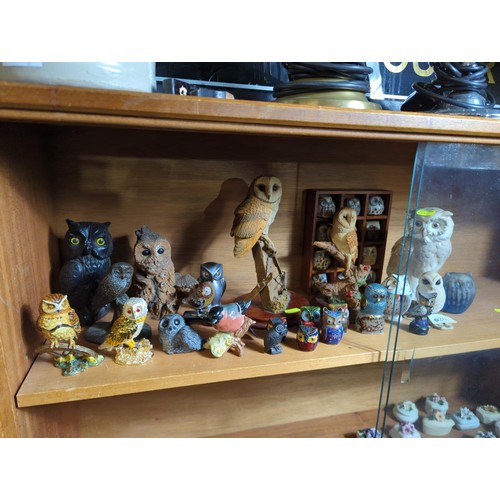 207 - Collection of 22 Owls & a case of 12, inc. cloisonné