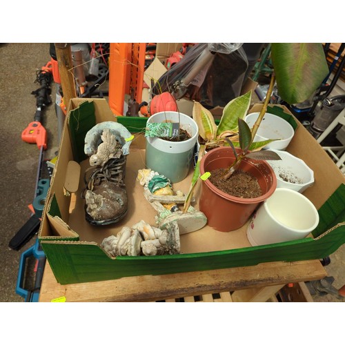 192 - Box of various indoor plant pots & plants