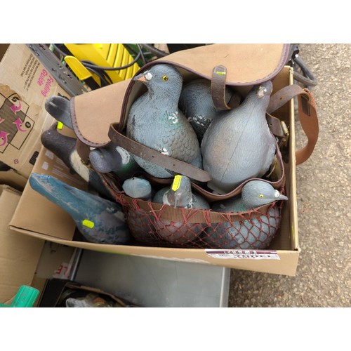 195 - 11 pigeon and 1 magpie plastic decoys