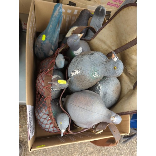 195 - 11 pigeon and 1 magpie plastic decoys