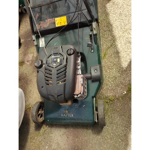 239 - Hayter Harrier 56 petrol self-propelled lawnmower, with rear roller. Tested in working order.