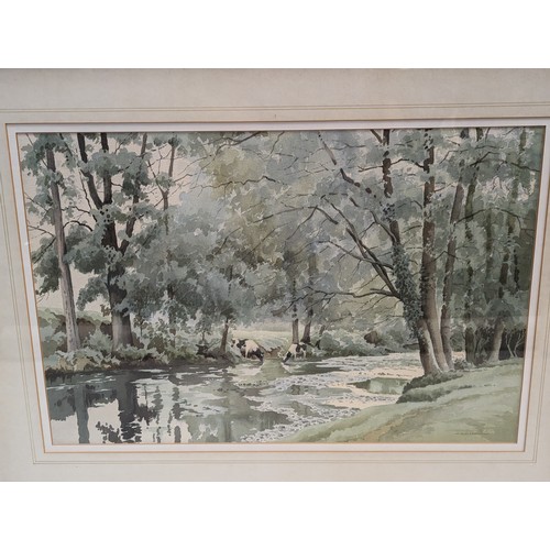 679 - F. F Errill, watercolour of cows on a riverbank, signed lower right, framed 75 x 59cm