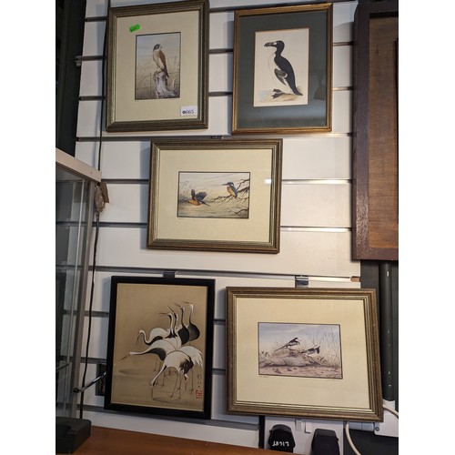 665 - Five framed avian prints inc. three by John Dolton, approx. 28.5 x 24cm