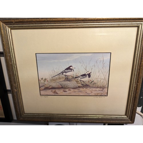 665 - Five framed avian prints inc. three by John Dolton, approx. 28.5 x 24cm