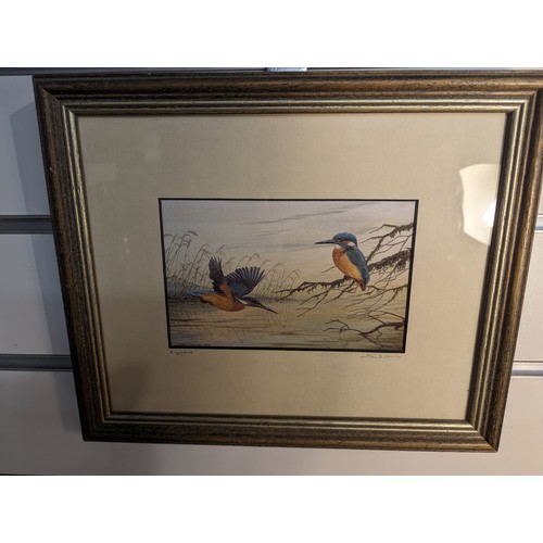 665 - Five framed avian prints inc. three by John Dolton, approx. 28.5 x 24cm