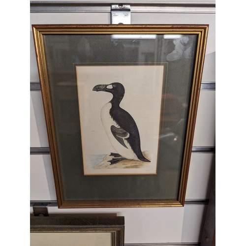 665 - Five framed avian prints inc. three by John Dolton, approx. 28.5 x 24cm