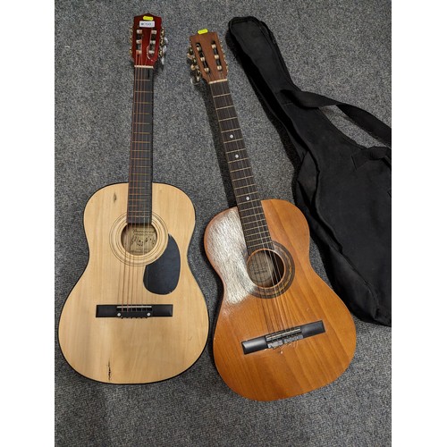 760 - 2 x acoustic guitars Encore with canvas case & Burswood