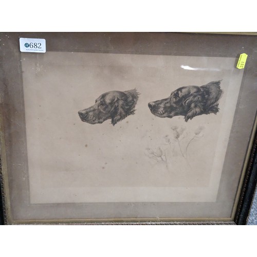 682 - Two framed  Maud and Earl prints of gun dogs, largest 58 x 51cm