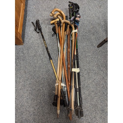 761 - bundle of walking/hiking sticks inc wooden canes and aluminium hiking sticks 