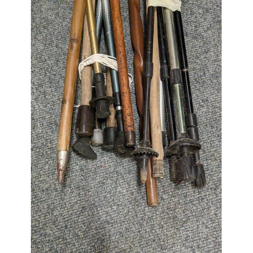 761 - bundle of walking/hiking sticks inc wooden canes and aluminium hiking sticks 