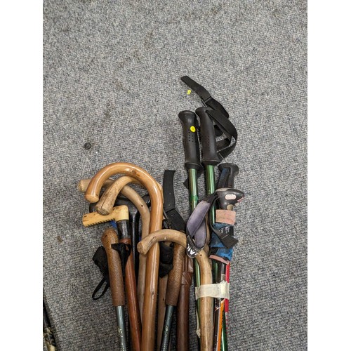 761 - bundle of walking/hiking sticks inc wooden canes and aluminium hiking sticks 