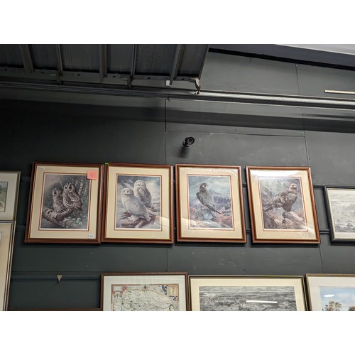 652 - Four signed limited edition bird of prey prey prints by Raymond Weston, with certificates, framed 55... 