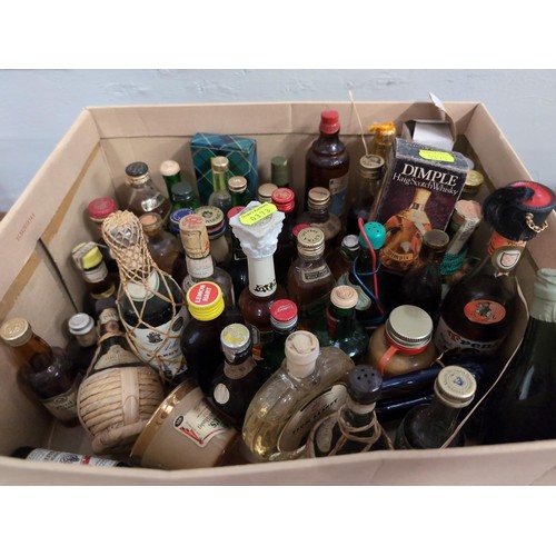 770 - Box of alcoholic miniatures inc Dimple scotch whiskey, Black label, Plum brandy, Apricot brandy etc&... 