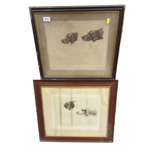 682 - Two framed  Maud and Earl prints of gun dogs, largest 58 x 51cm