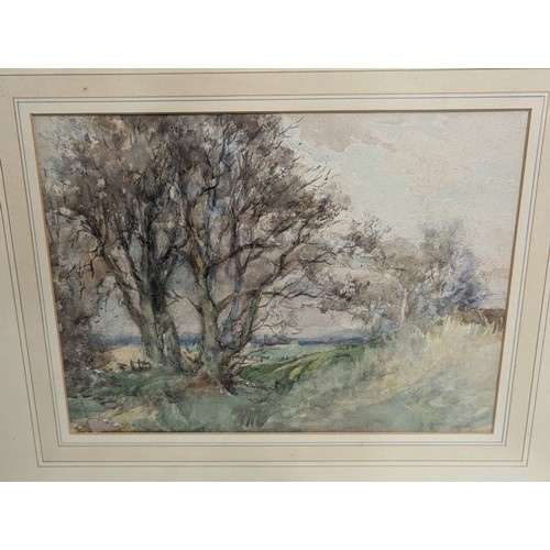 332 - Two framed watercolours; a seascape and a copse of trees, both unsigned (or signature beneath mount)... 