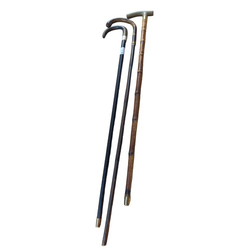 57 - 2 cane walking sticks + 1 other with white metal collar.