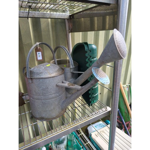 16 - 2 galvanised watering cans + pair of plastic leaf grabbers.