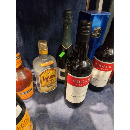 812 - 10 assorted bottles of wine and spirits inc. apricot brandy, Harvey's Bristol cream and dark rum.