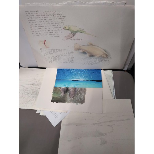 820 - A1 Portfolio containing Robin Armstrong sketches, watercolours and prints (inc. limited edition)