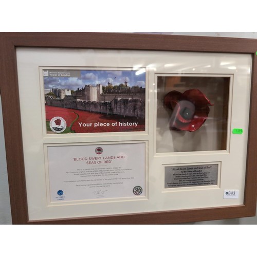 843 - Tower of London ceramic poppy by Paul Cummins. Framed, with certificate. L55cm, W41cm, D9.5cm. 