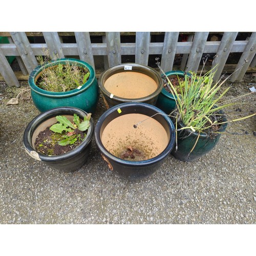 2 - 6x glazed garden planter pots, mostly green/dark coloured. Tallest H26cm D29cm. Includes some conten... 