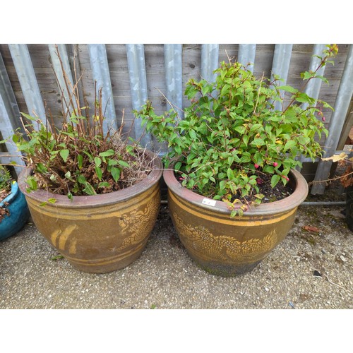 4 - 2x large dragon adorned garden planters with fuchsia contents. Pot dimensions: H38cm D50cm