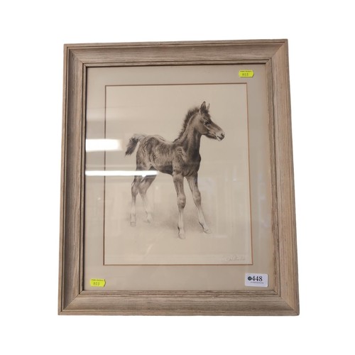 448 - Framed etching of a foal signed Curt Meyer Eberhart39.5 x 46.5 cms