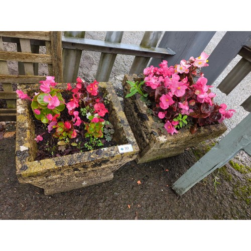 10 - Pair of square concrete planters with contents. W30cm D30cm H25cm.