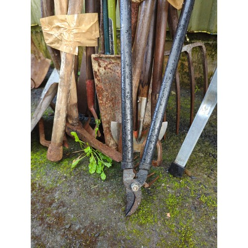 32 - Large quantity of long handled tools inc. fork, spade, pick.