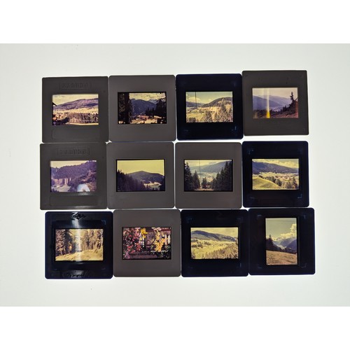 694 - Collection of photographic slides in two cases, inc. flora, fauna and landscapes, world places