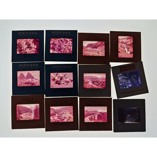 694 - Collection of photographic slides in two cases, inc. flora, fauna and landscapes, world places